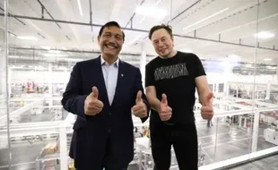 Menko Marves Luhut hingga Kadin Temui Elon Musk, Hasilnya?