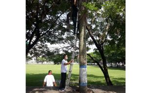 Hore, Sekarang Bisa Internetan Gratis di Alun-Alun Karanganyar Lur