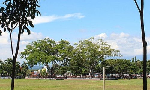 Alun-Alun Terluas Jateng, Ada Pohon Beringin Kembar Hadiah Sultan HB IX