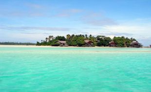 Pesona Pulau Gosong, Hamparan Terumbu Karang di Pantai Rembang