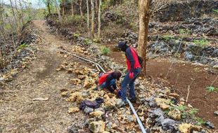 Apa Dampak El Nino untuk Indonesia, Simak Penjelasannya