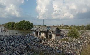 Jorok! Sampah Plastik Kepung Kampung Nelayan Tambakrejo Semarang