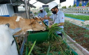 Sukses Kelola Ekonomi Sirkular Edupark, Semen Gresik Juarai BCOMMS 2022