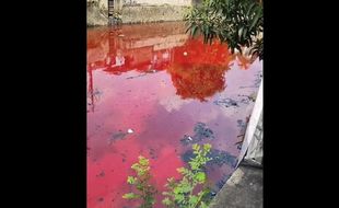 Ini Penyebab Air Sungai di Semarang Berwarna Merah Darah