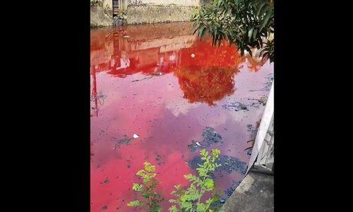 Viral Sungai Pasar Johar Berwarna Merah, Ini Respons DLH Kota Semarang