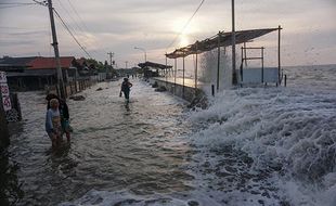 Pesisir Pekalongan Diterjang Gelombang Tinggi, Warga Diimbau Waspada