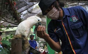 Interaksi dengan Hewan Tumbuhkan Kepedulian pada Keanekaragaman Hayati