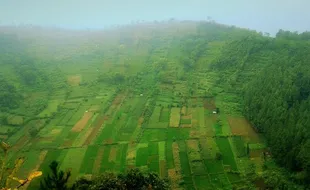 Meski Berbukit, 2 Kecamatan di Lereng Lawu Wonogiri Ini Tidak Rawan Longsor lo