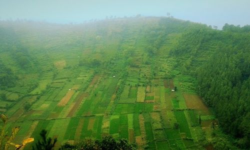 Meski Berbukit, 2 Kecamatan di Lereng Lawu Wonogiri Ini Tidak Rawan Longsor lo