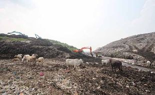 Wah! TPA Sampah Putri Cempo Solo Disiapkan Jadi Tempat Wisata Edukasi