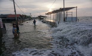 Pesisir Pantura Jateng Dikepung Rob, Ini Lokasinya