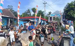 Tradisi Bakdan Sapi di Musuk Boyolali Meriah, Ini Sejarahnya