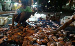 Buka Tengah Malam, Bakul Ikan Pasar Nusukan Solo Tetap Diserbu Pembeli