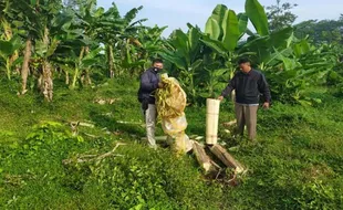 Hendak Diterbangkan, Puluhan Balon Udara Disita Polisi Pekalongan