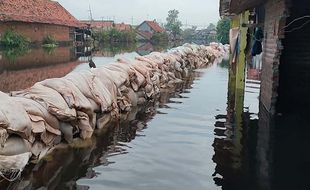 Banjir Rob di Pekalongan Dilawan 1.500 Karung Tanah