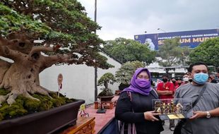 Wow, Bonsai Terbaik di Kontes Sragen Nyaris Seusia Bupati Yuni