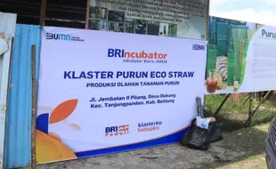 Klaster Usaha Binaan BRI Purun Eco-Straw Diapresiasi di Sidang Umum PBB