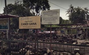 Kenapa Candi Gana di Klaten Disebut Candi Asu?