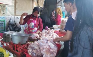 Harga Daging Ayam Potong di Karanganyar Masih Tinggi