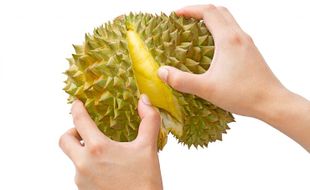 Bolehkah Ibu Hamil Makan Durian? Ini Penjelasannya