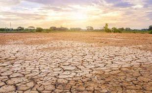 Kemarau di Jateng Dimulai April 2023, Lebih Kering dari 3 Tahun Sebelumnya