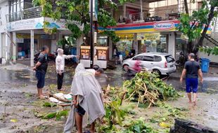 Ekstrem! Solo Banjir dan Pohon Tumbang di Mana-Mana