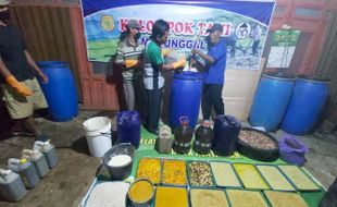 Testimoni Pengguna Pupuk Organik Jatisuko: Dulu Panen Jeblok, Kini...