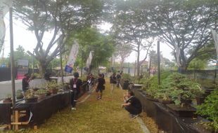 Yuk ke Pameran PPBI Wonogiri, Ada Ratusan Bonsai Unik-Unik Lo...