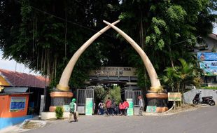 Dorong Ekonomi Pariwisata, Terminal Tirtonadi Siapkan Rute Bus untuk Piknik