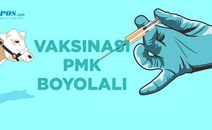 Serba-Serbi Vaksinasi PMK Tahap Awal di Boyolali