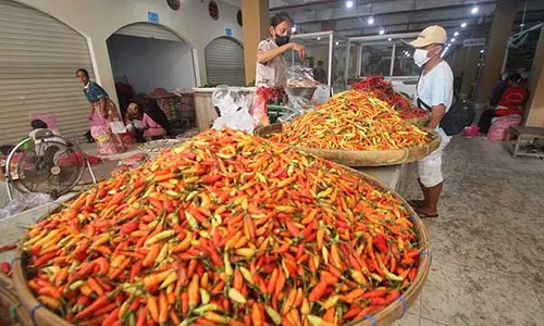 Harga Cabai di Semarang Tembus Rp70.000 per Kg, Pemilik Warung Makan Menjerit