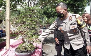 Peringatan HUT Bhayangkara, Ratusan Bonsai Dipamerkan di Sukoharjo