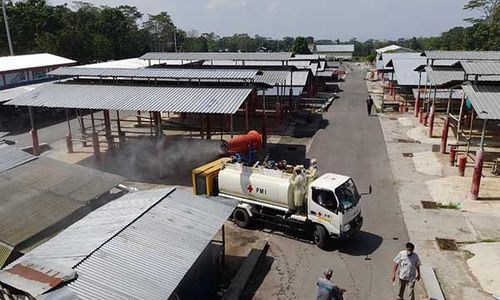 Temuan 4 Sapi Tergeletak, Pasar Hewan Sunggingan Disemprot Disinfektan