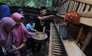 Mengenal Pertanian Terintegrasi Lewat Wisata Edukasi di Sawit Boyolali