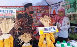 Tingkatkan Jumlah Petani Milenial, Ini yang Dilakukan Pemkab Wonogiri