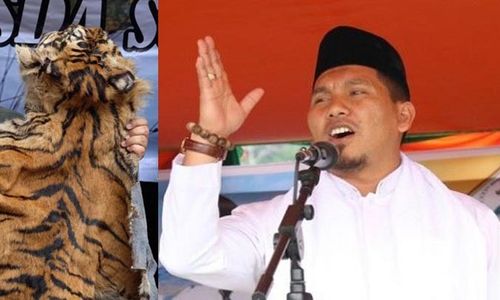 Kulit Harimau Sumatra Antar Eks Bupati Bener Meriah ke Penjara 2 Kali