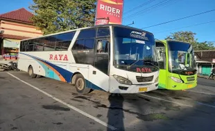 Antara Bus Bumel Biasa Saling Kejar-Kejaran, Ending-nya Tak Terduga