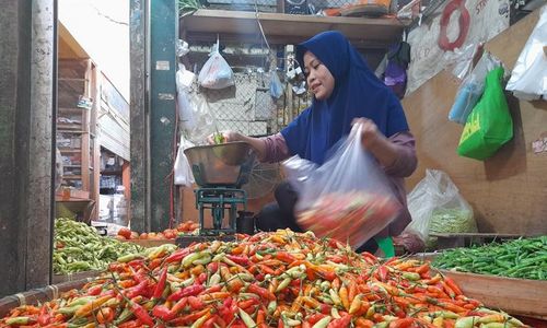 Alhamdulillah, Harga Cabai Berangsur Turun, Ini Pendorongnya