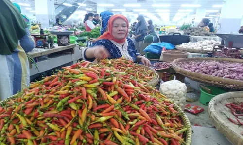 Waduh! Naik Terus, Harga Cabai Rawit di Ponorogo Tembus Rp95.000/Kg