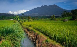 Cemlorot Lur! Tangga Gunung Lawu Bakal Dipasang Lampu Panel