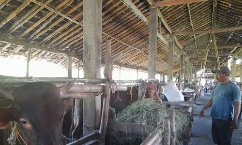 Pemkab Sragen Diminta Siap Hadapi Lonjakan Permohonan SKKH