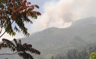 Awas! Buang Puntung Rokok Sembarangan Bisa Bakar Hutan Negara