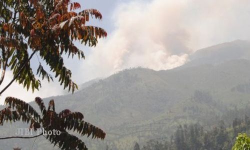 Awas! Buang Puntung Rokok Sembarangan Bisa Bakar Hutan Negara