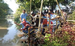 10.000 Benih Ikan Nila Ditebar di Kali Baki Sukoharjo, Ini Tujuannya