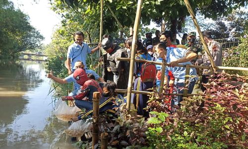 10.000 Benih Ikan Nila Ditebar di Kali Baki Sukoharjo, Ini Tujuannya