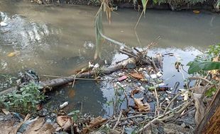 Duh! Aliran Kali Ngece Gentan Sukoharjo Penuh Sampah, Ular Mengintai