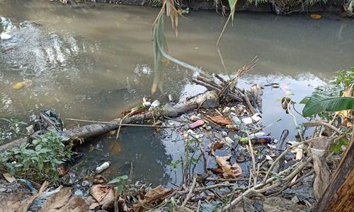 Duh! Aliran Kali Ngece Gentan Sukoharjo Penuh Sampah, Ular Mengintai