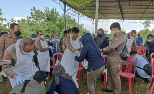 21.000 Kasus PMK di Jateng, Disnak Keswan Gandengn PT Kaji Epidemiologi