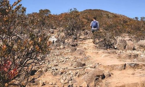 Prasasti Batu dan Relief Cokrosurya di Puncak Gunung Lawu