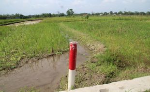 Heboh Patok Kayu Berafia di Lahan Tol Klaten, PT JMM: Bukan Pelebaran!